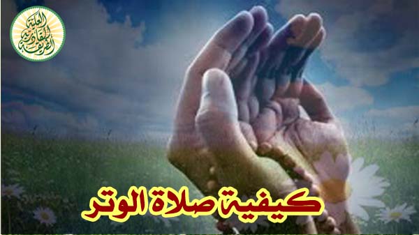 صورة المقال