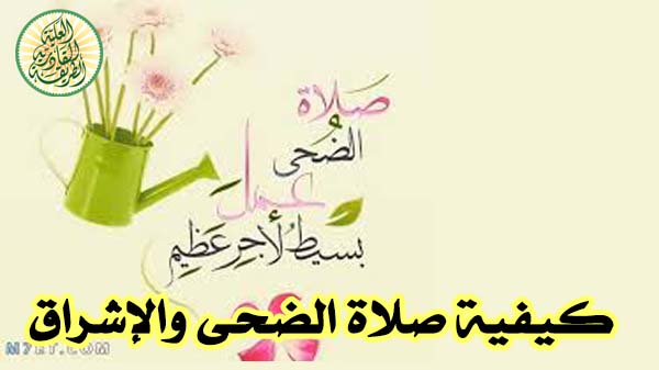 صورة المقال