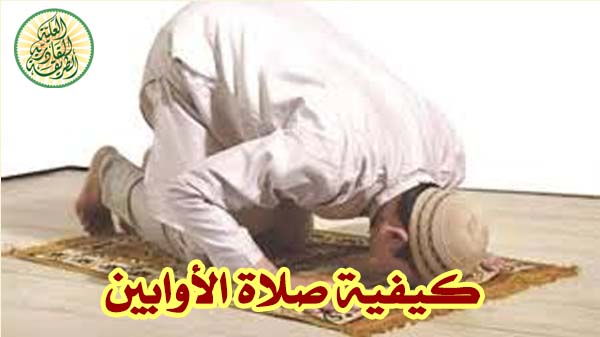 صورة المقال